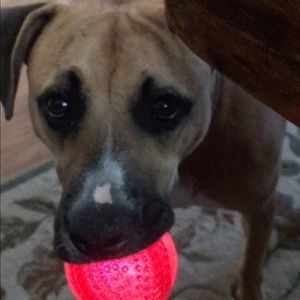 Meet your Posher, Karen